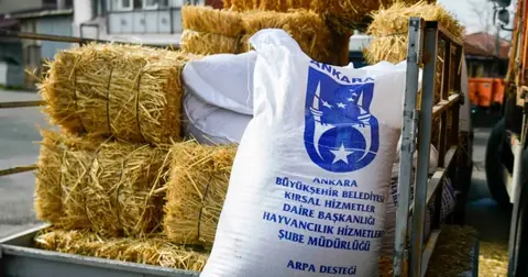 Ankara'da mandacılara yüzde yüz hibeli yem desteği