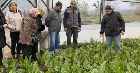 Kocaeli’de 65 yaş üstü bireyler tarımsal üretime katıldı