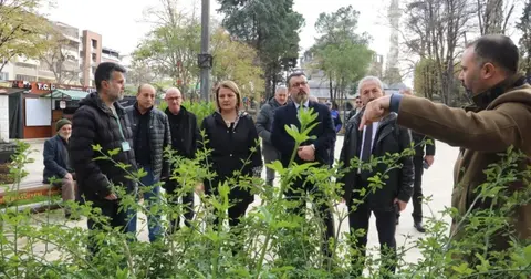 Yeni Cuma Parkı yaz aylarında botanik bahçesine dönüşecek