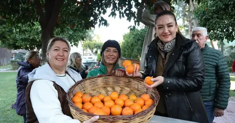 Antalya’nın turunçları kadın emeğiyle sofralara uzanıyor