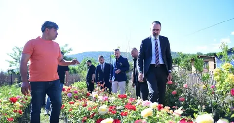 Bursa Kestel'de süs bitkileri üreticilerine destek