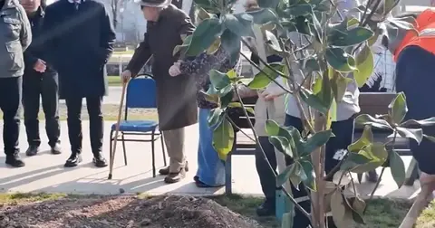 Mudanya Güzelyalı'da doğa dostu Emin Amca 'geleceğe nefes' oldu