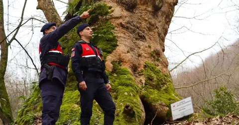 Yalova’da Jandarma turizm bölgelerinde güvenliği artırdı