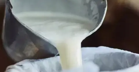 Çiğ süt üretimi 2025’te geriledi! Manda ve keçi sütü sert düştü!