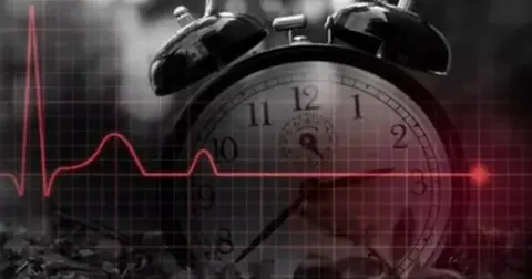 2025'te Türkiye'de Ölüm Sayısı 491.684, Dolaşım Sistemi Hastalıkları Önde
