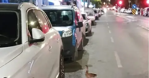 Trafiği durdurup ördeği kurtardılar