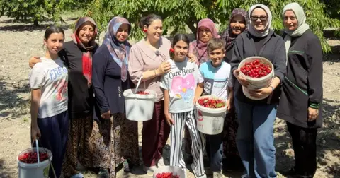 DAĞDER'den Bursalı kiraz üreticilerine destek