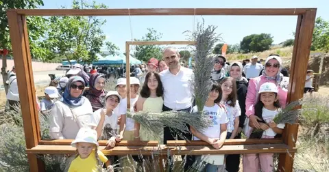 Çayırova’da lavanta hasadı