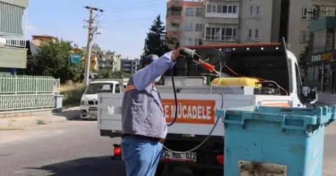 Sivrisinek için seferberlik
