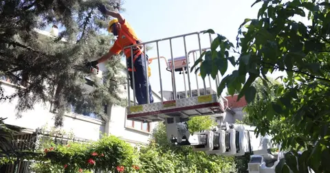 Bursa Osmangazi’de yeşil alanlara titiz koruma