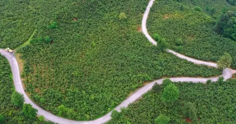 Ordu Büyükşehir’den Ulubey’e 7 kilometrelik asfalt yatırımı