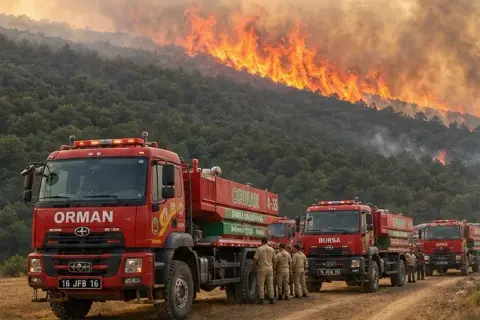 Bursa'da orman yangını: 6 hava aracı ve 98 personel müdahalede