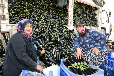 Manisa'da selden zarar gören çiftçi Ufuk Aktaş'a belediye patlıcan fidesi destekledi