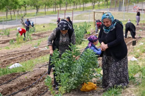 İzmir'de Mahalle Bostanları Buca'ya Ulaştı