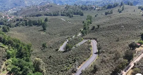 Ordu’da Ulubey Şeyhler’de yol sevinci