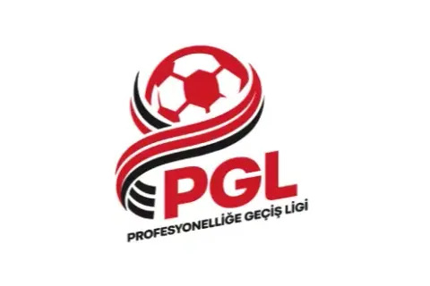 Profesyonelliğe Geçiş Ligi 12 grupta oynanacak