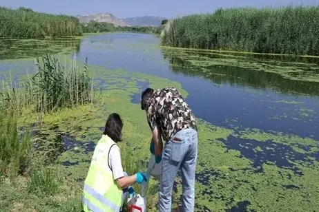 Gediz'de yaz kirliliği patladı: Ağır metaller 200 kat normalde