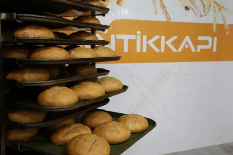 Kocaeli'de tam buğday ekmeği üretimine başlandı