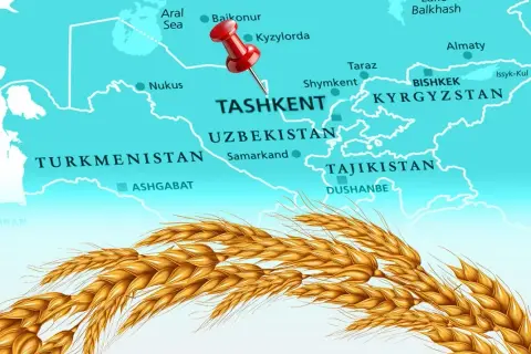 Türkiye, Un İhracatında 12. Şampiyonluk Hedefini Koydu