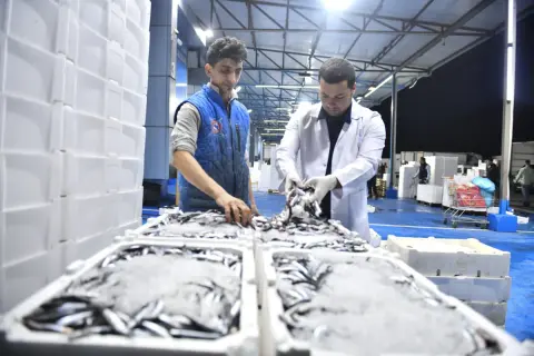 Ankara Balık Hali’nde Günlük Denetimler Artırıldı