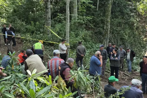 Düzce Yığılca'da Orman Kesimi Ağacı Üstüne Düştü, İşçi Mehmet Çakır Hayatını Kaybetti