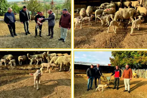 Edirne'de Genç Hayvancıcıya Resmi Destek Ziyareti