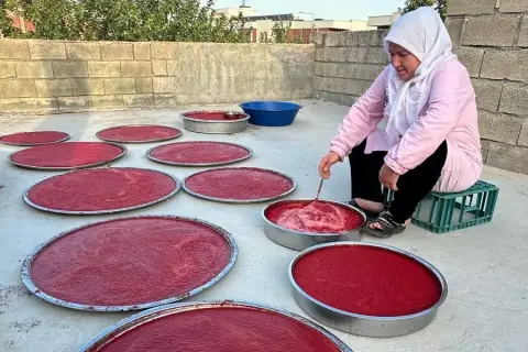 Adıyaman’da kış hazırlıkları hızlandı... Damlarda salça mesaisi başladı