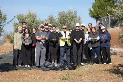 Tekirdağ'da zeytin hasadına genç katkısı: Uygulamalı eğitim