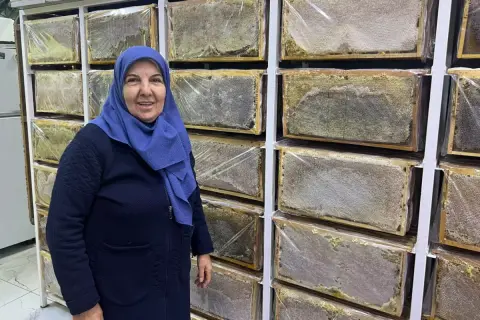 Ağrı'da arılar kışa girdi: 'Kovan içinde uyuyorlar'