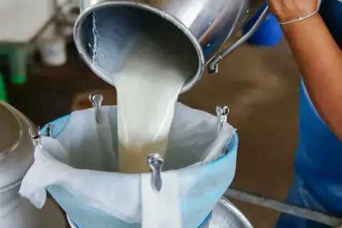 Çiğ süt üreticilerine ilave destek: 0,3 katsayı ve yeterlilik şartı