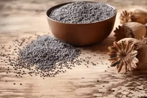 Haşhaş alım fiyatları belli oldu... Başvurular 30 Ekim’de sona erecek
