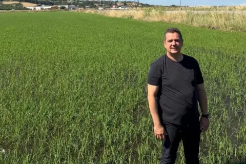 İpsala çeltikçiler: Açıkllan fiyatlar fiyasko, emek hiçe sayıldı