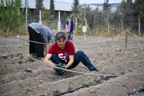 Bornova'da 1160 kadın toprağa kış fidelerini diktirdi