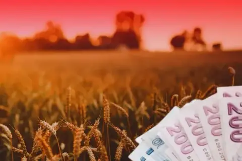 TMO'dan üreticilere 4,2 milyar lira ödendi