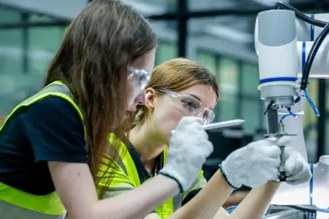 İş Dünyası ve İnsan Hakları Programına Başvuru Son Günü