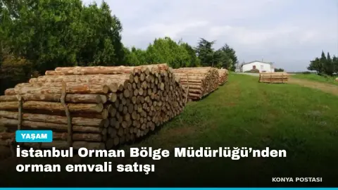 İstanbul Orman Bölge Müdürlüğü’nden orman emvali satışı