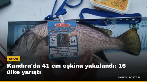 Kandıra'da 41 cm eşkina yakalandı: 16 ülke yarıştı