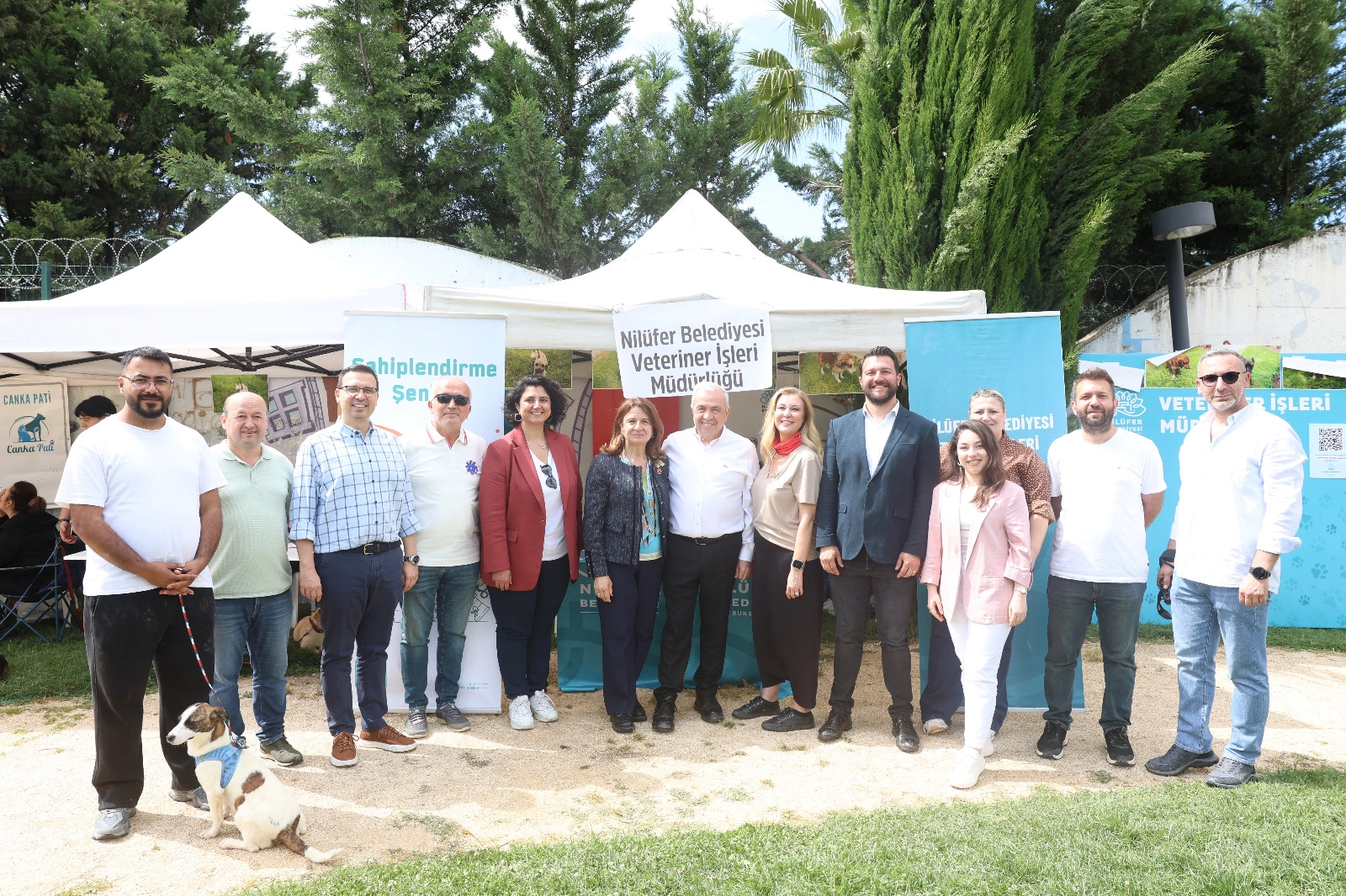 Bursa Nilüfer'de Sahiplendirme Şenliği’nde can dostlara yeni yuva