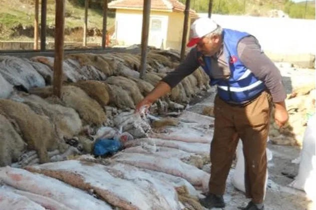THK Keşan Şubesi 2026’da deri toplamayacak