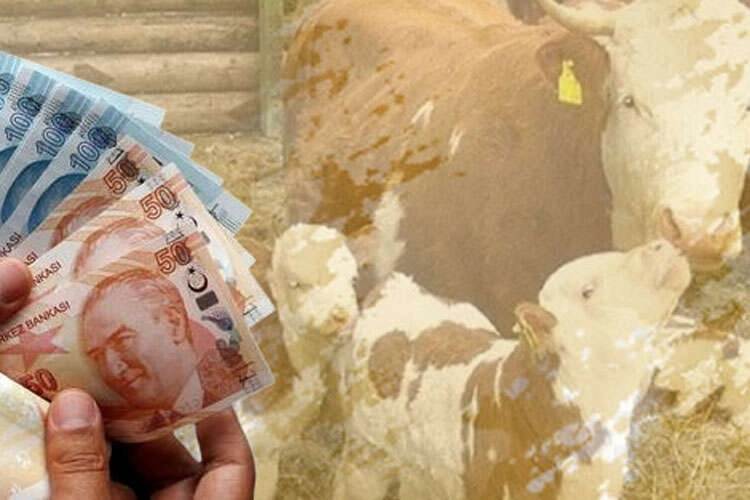 6,4 milyar TL’lik destek çiftçilerin hesaplarına aktarıldı