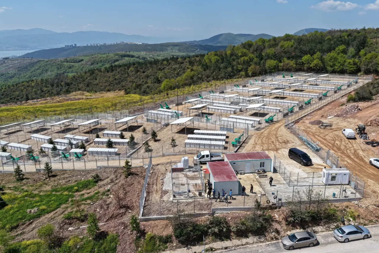 Kocaeli’nde sahipsiz köpeklere yeni yuva