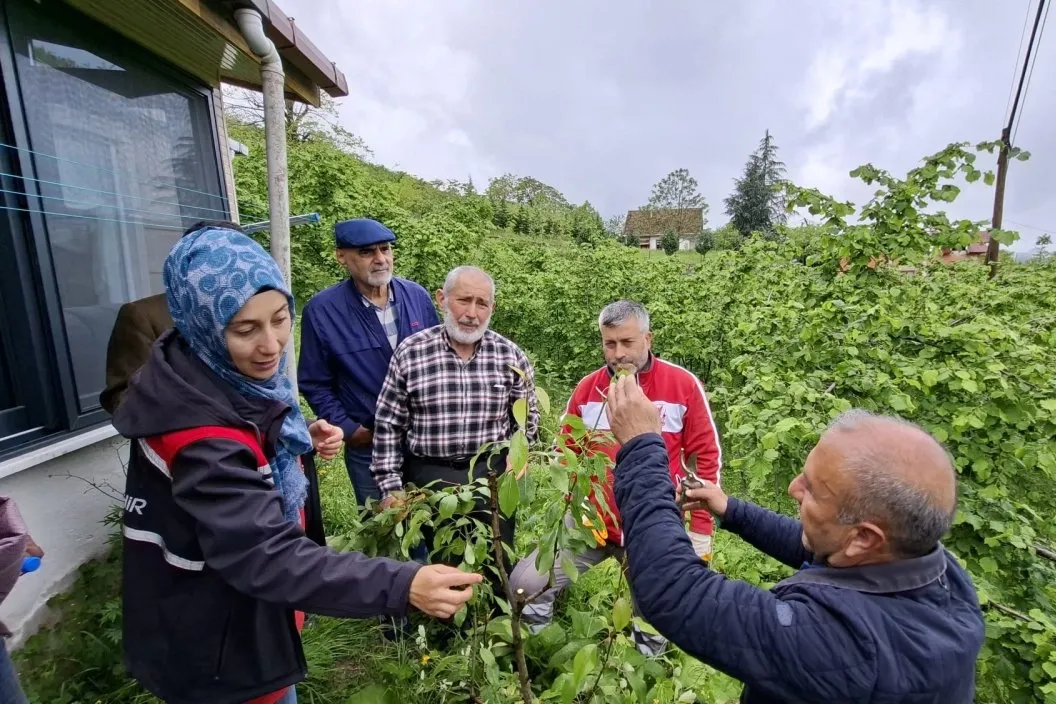 Büyükşehirin aşı 'Ordu'su büyüyor