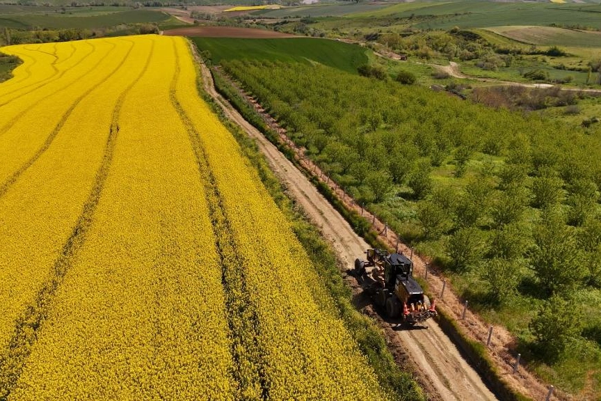 Tarla yolları hasada hazırlanıyor