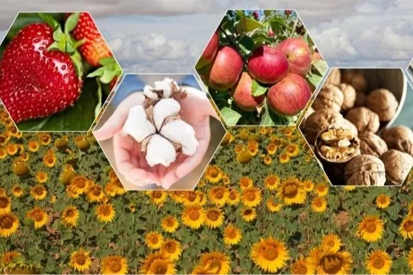 2026’da bitkisel üretimde büyük artış bekleniyor