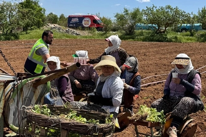 Denizli’de tarlalara ikram molası