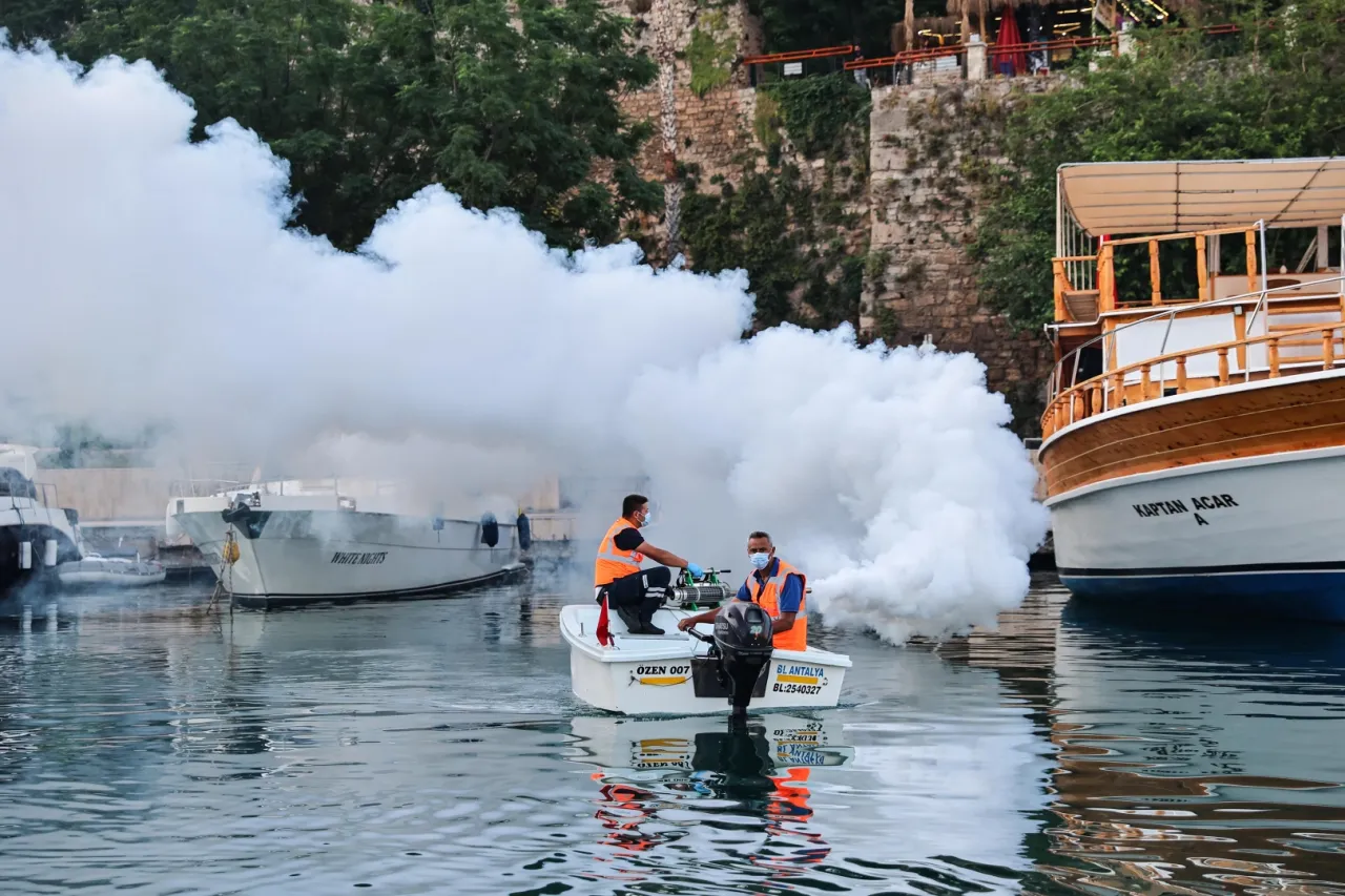 Antalya’da sahil bandında vektörle mücadele