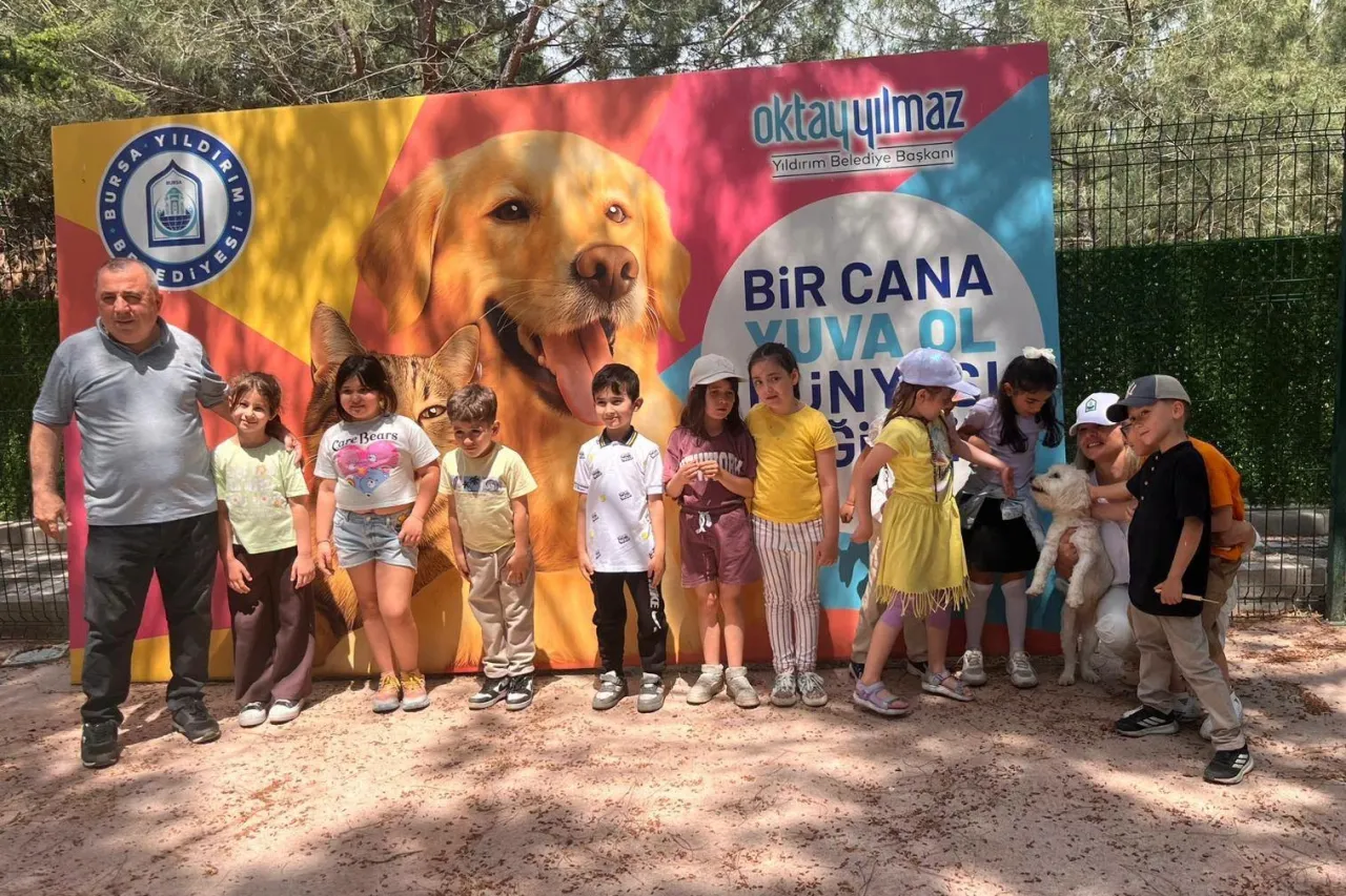 Bursa Yıldırım'da sahisiz sokak hayvanları öğrencileri ağırladı