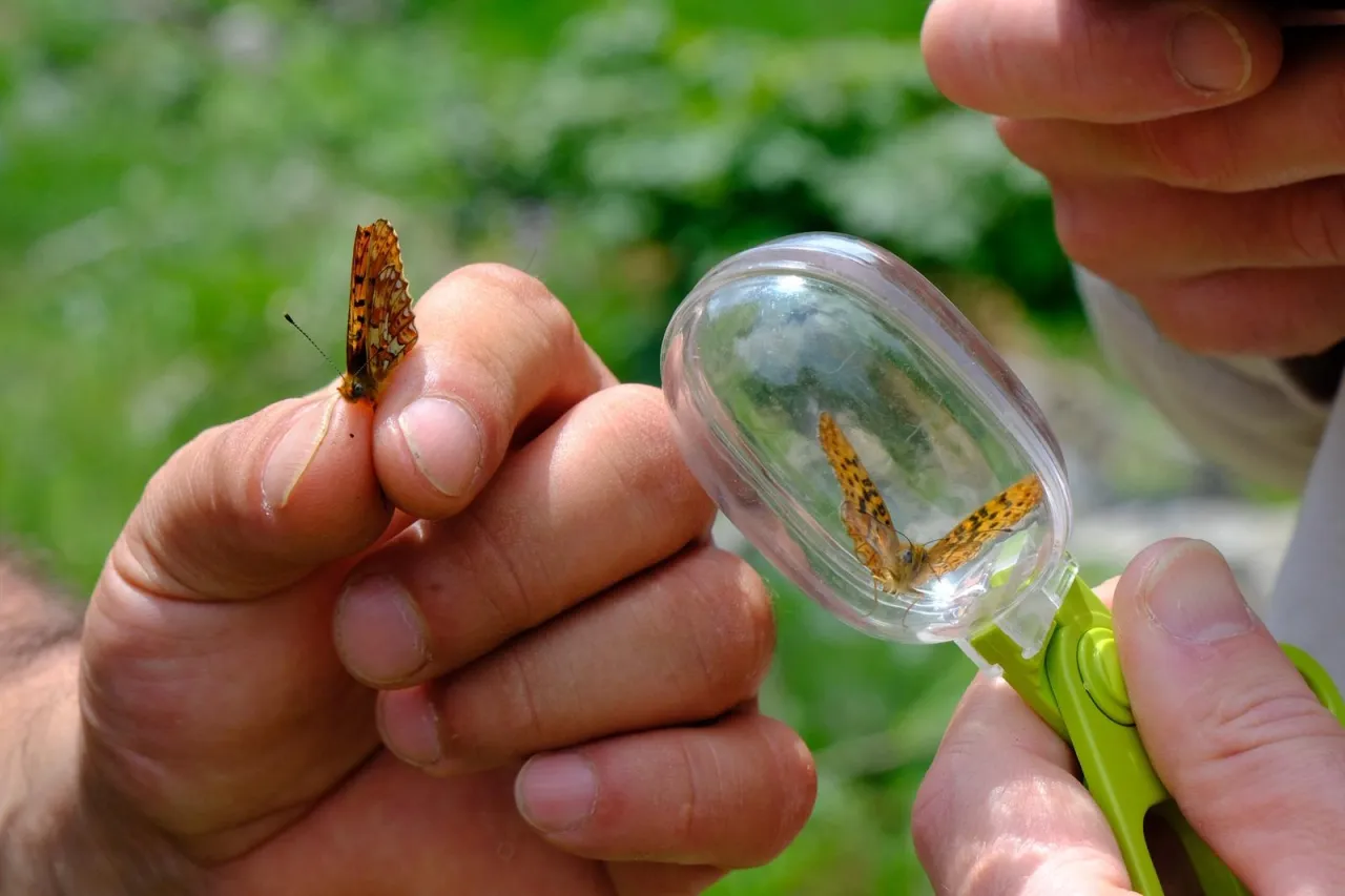 Kuzuyayla’nın zengin biyoçeşitliliği incelendi
