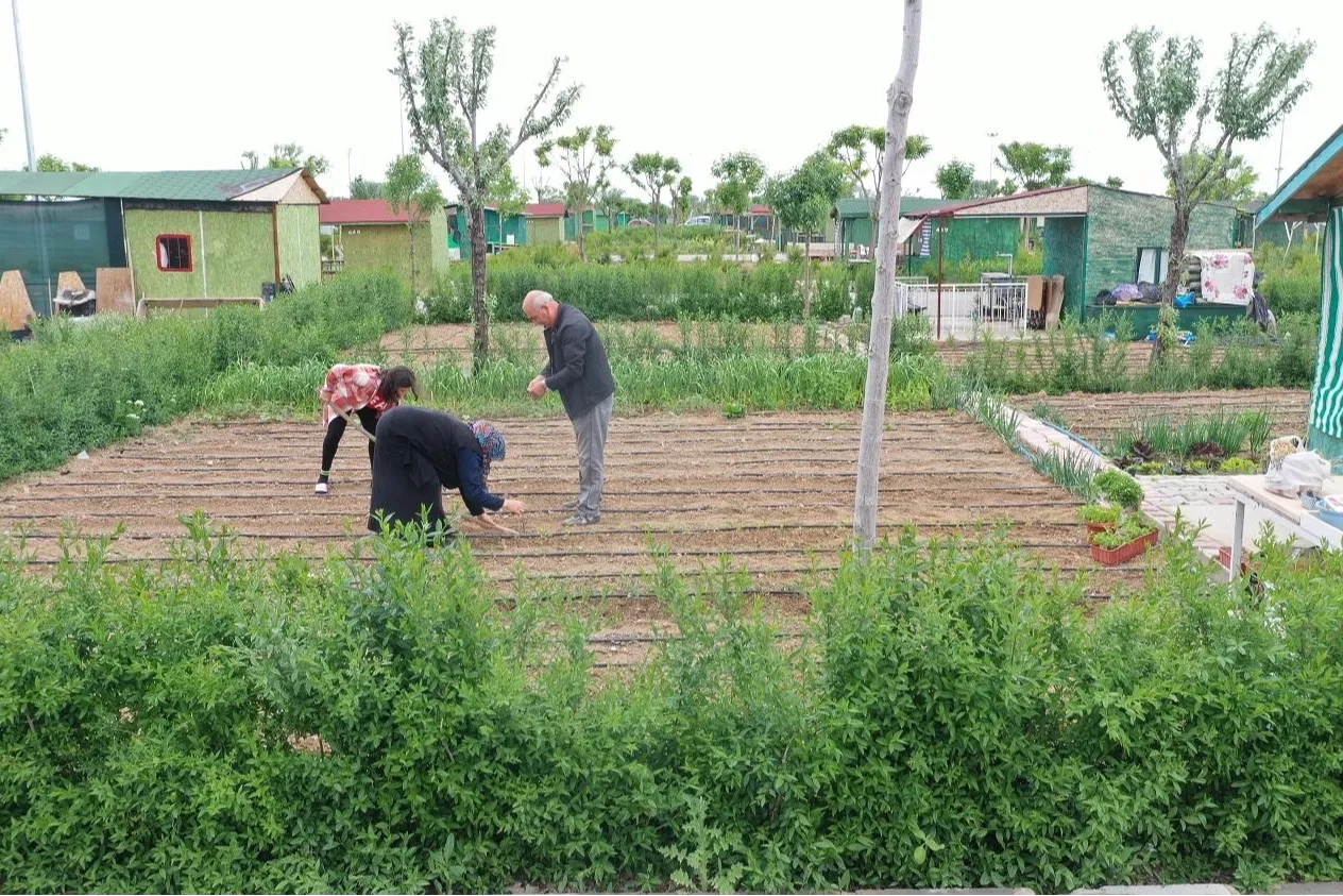 Hobi bahçesi dönemi sona erdi