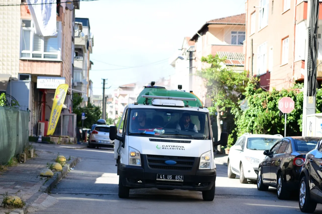 Kocaeli Çayırova’da vektörle mücadele sürüyor